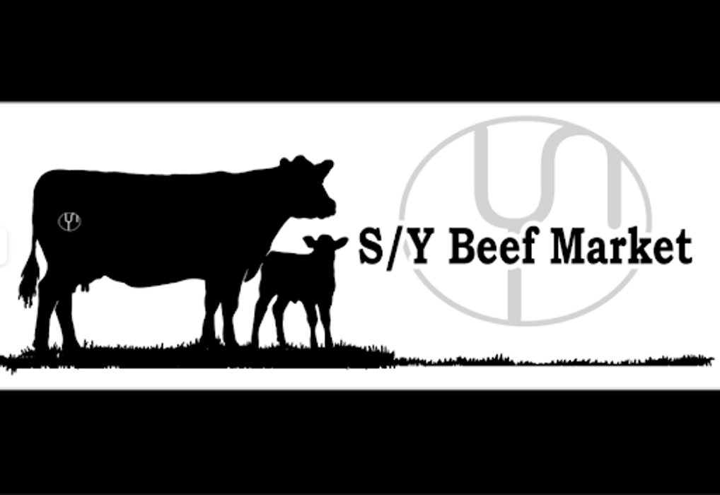 S/Y Beef Market