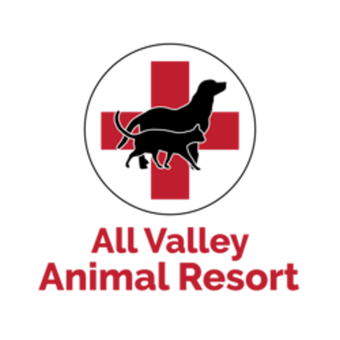 All Valley Animal Resort, A Thrive Pet Healthcare Partner