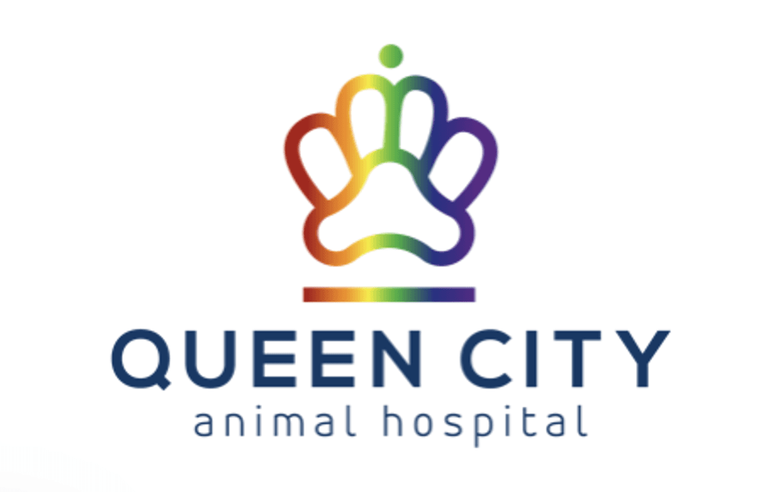 Queen City Animal Hospital