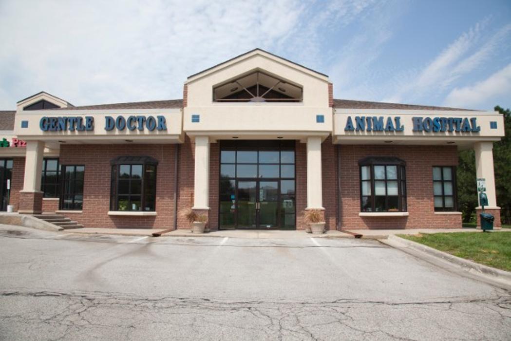 Gentle Doctor Animal Hospital