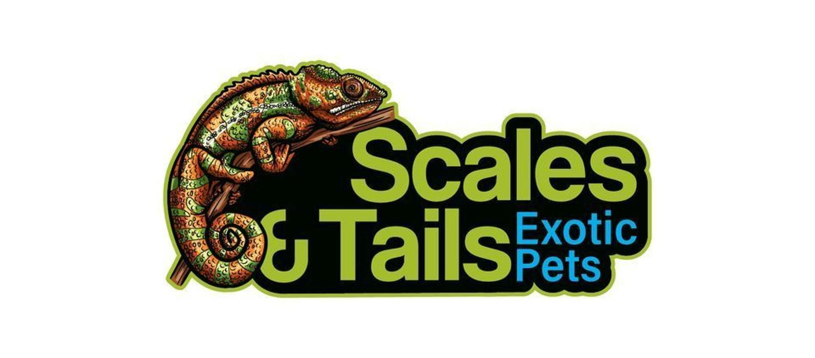 Scales & Tails Exotic Pets