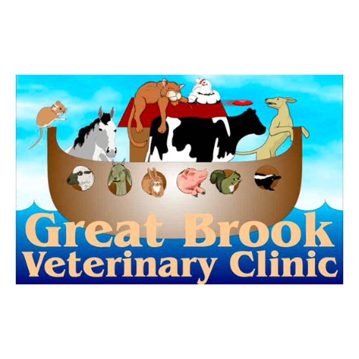 Great Brook Veterinary Clinic