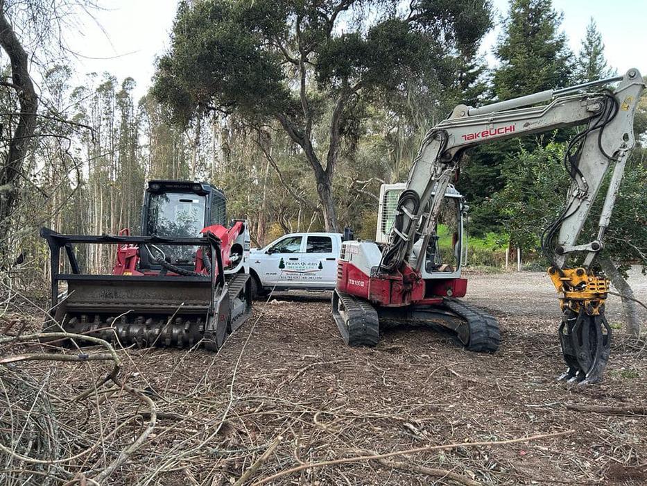 Proven Quality Tree Service