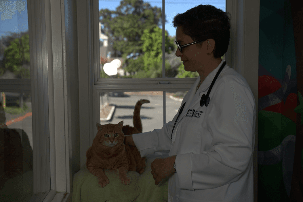 Benicia Cat Clinic