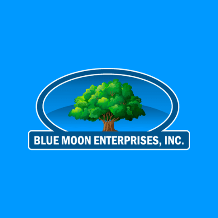 Blue Moon Enterprises