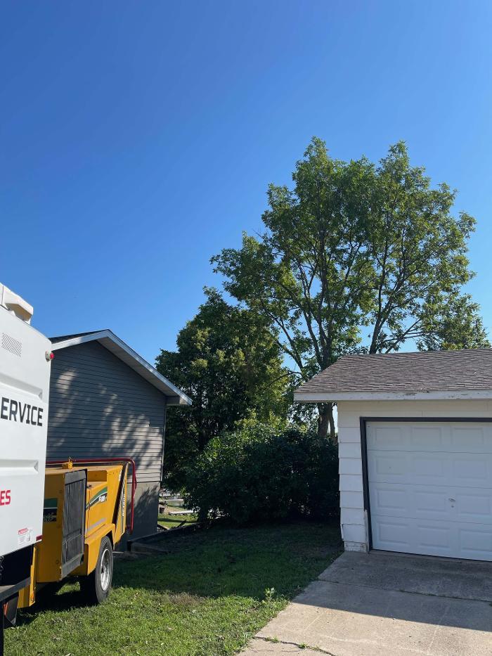 Total Control Tree Service