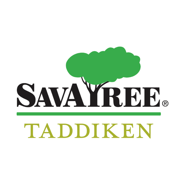 SavATree