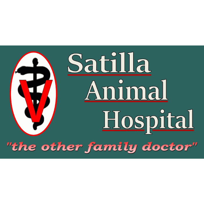 Satilla Animal Hospital