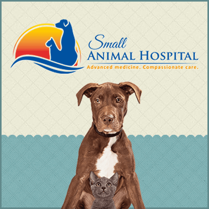 Small Animal Hospital