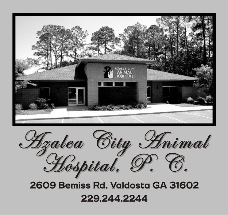 Azalea City Animal Hospital