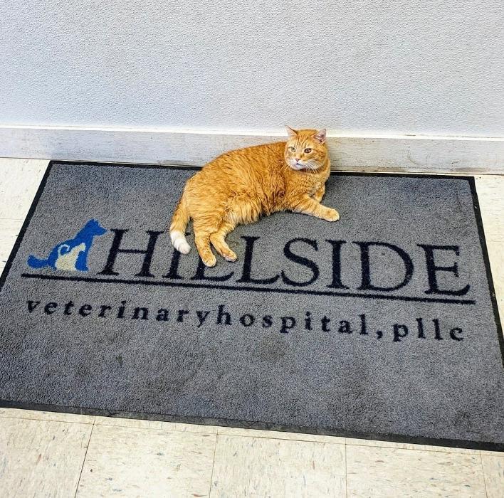 Hillside Veterinary Hospital