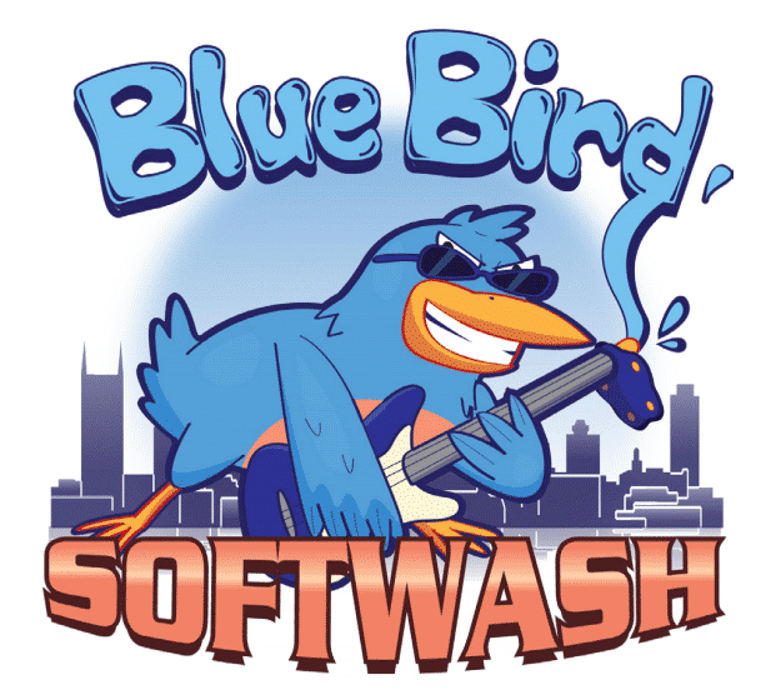 Blue Bird Softwash