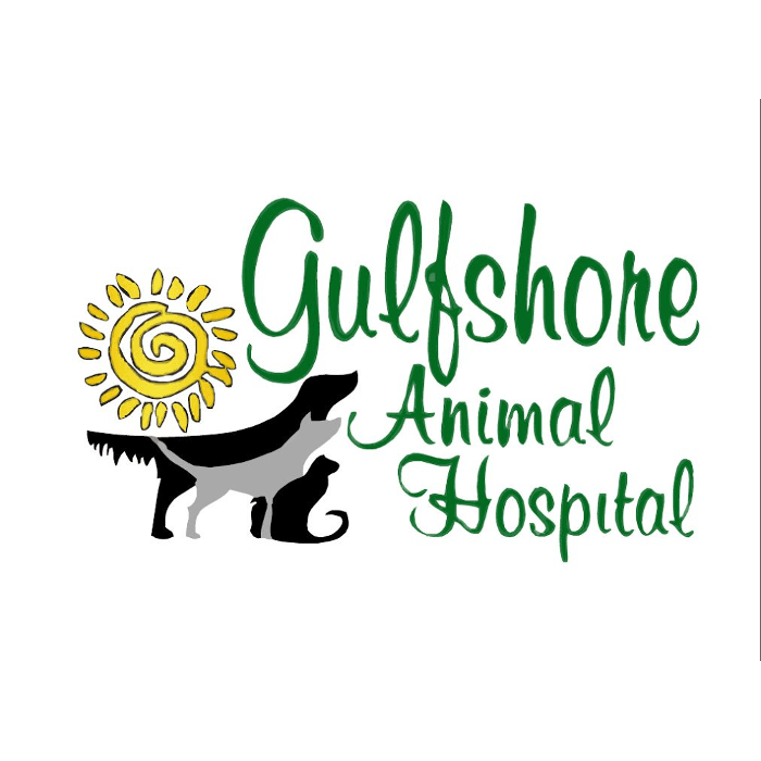 Gulfshore Animal Hospital