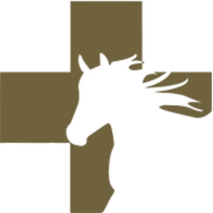 Gulf Coast Equine Hospital