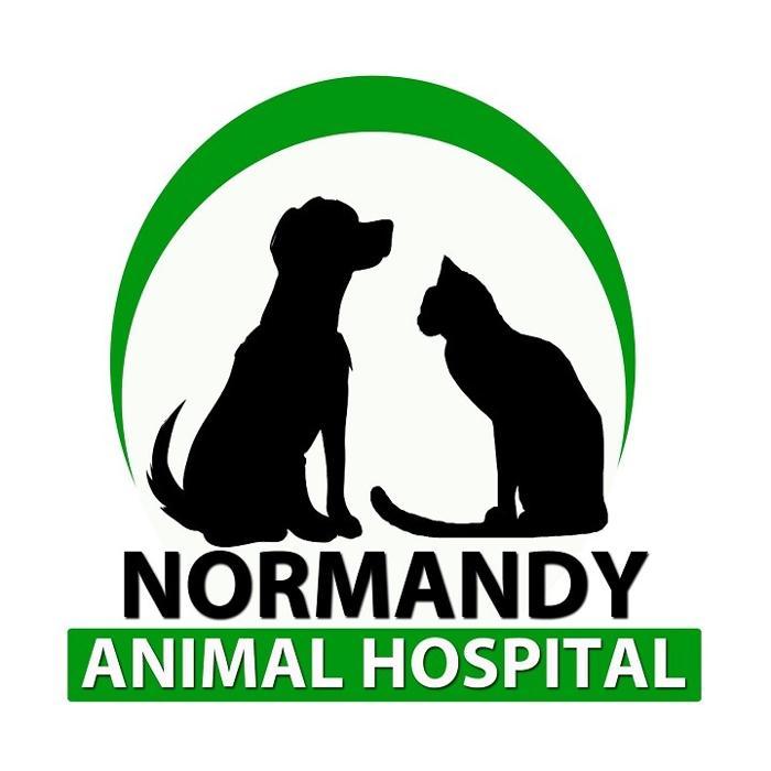 Normandy Animal Hospital