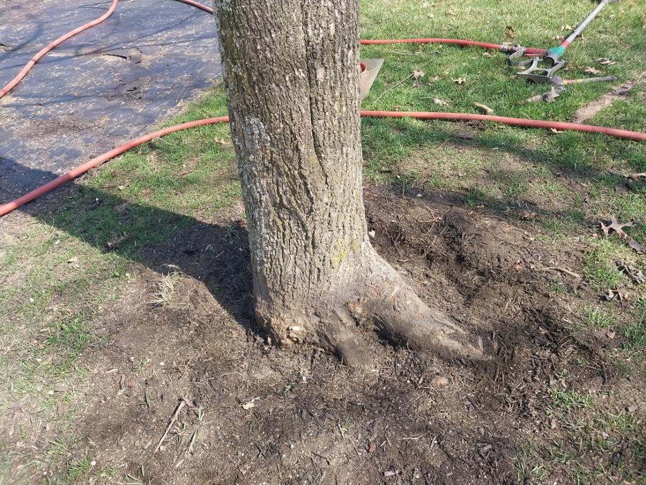 Black Maple Landscaping