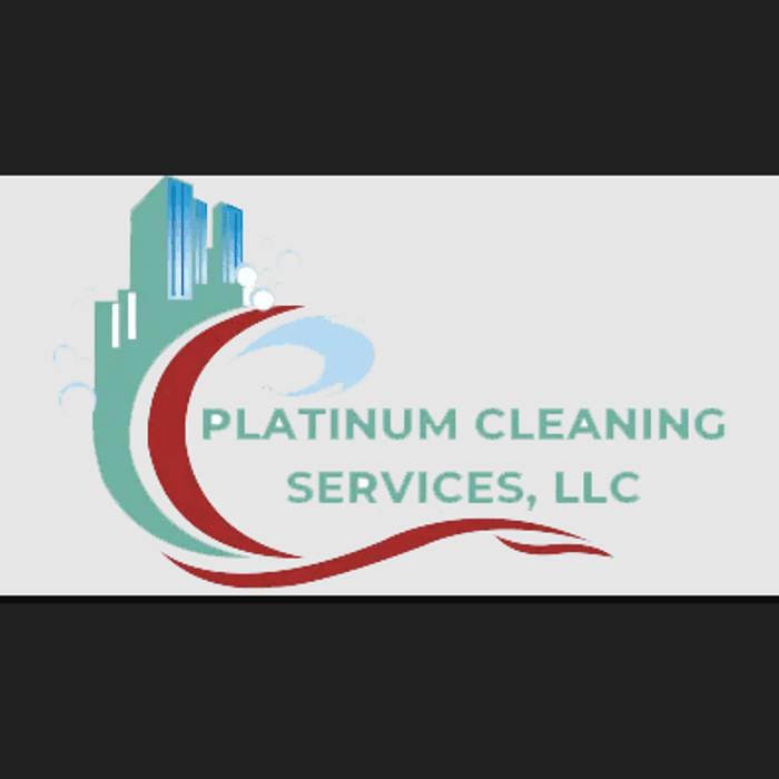 Platinum Cleaning Services