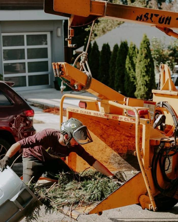 Pacific Arboriculture