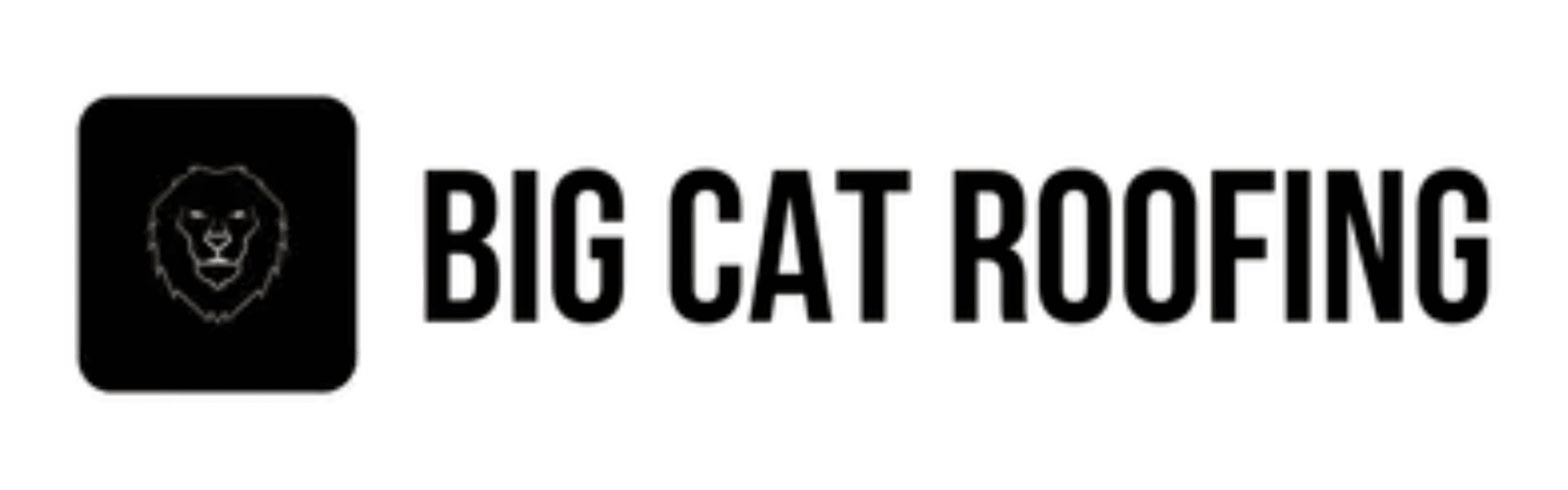 Big Cat Roofing