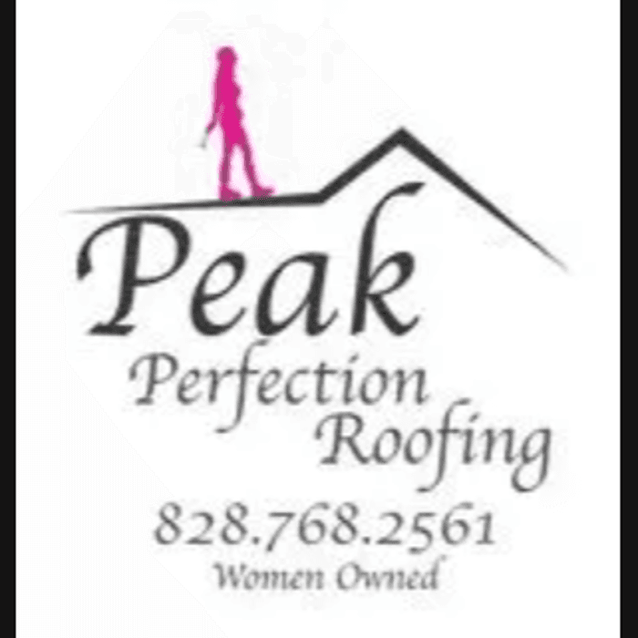 Peak Perfection Roofing