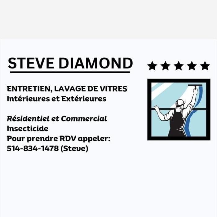 Steve Diamond Entretien Lavage de Vitres Intérieur et Extérieur