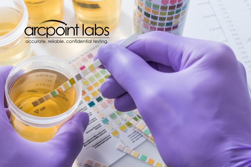 ARCpoint Labs of Bradenton