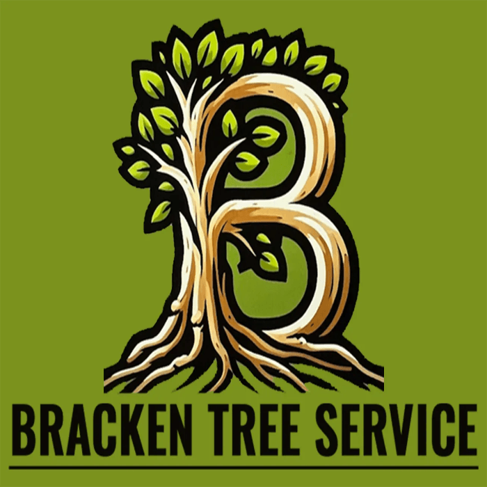 BRACKEN TREE SERVICE