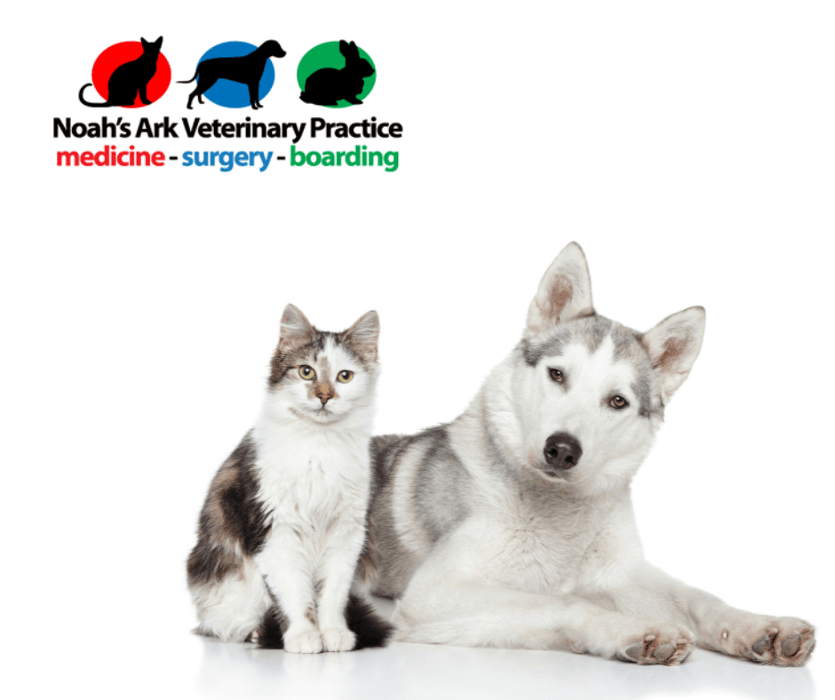 Noah's Ark Veterinary Practice