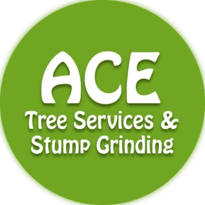 Ace Tree Service & Stump Grinding