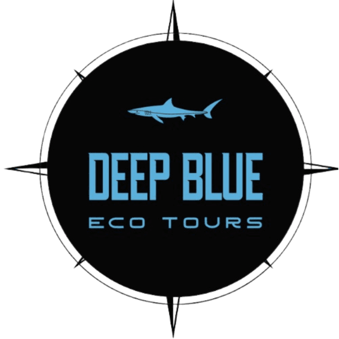 Deep Blue Eco Tours