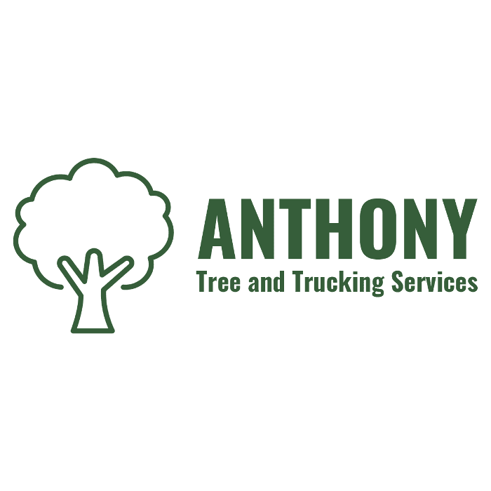 Anthony Tree and Trucking Services