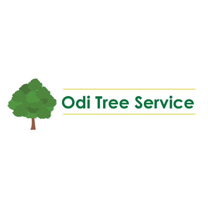 Odi Tree Service