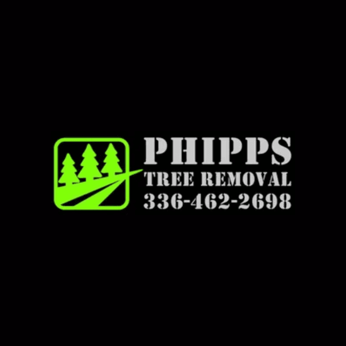 Phipps Tree Removal