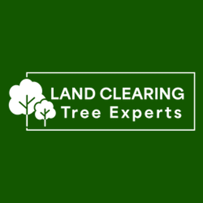 Land Clearing Tree Experts