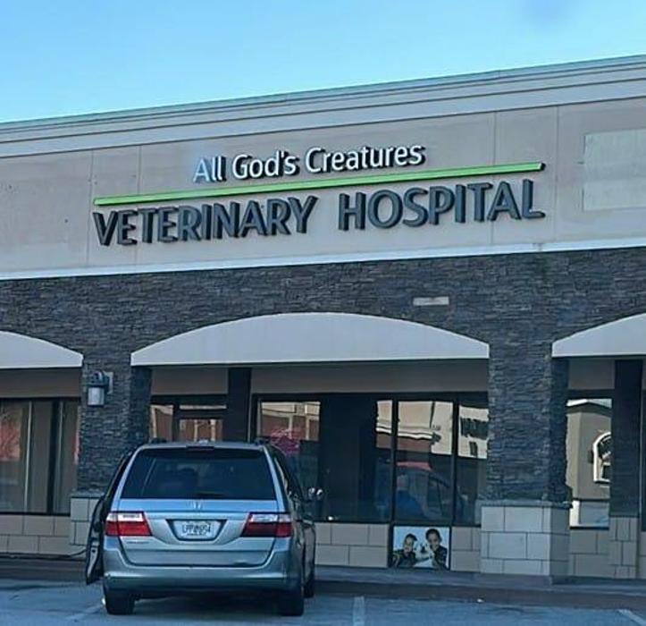 All God's Creatures Veterinary Hospital