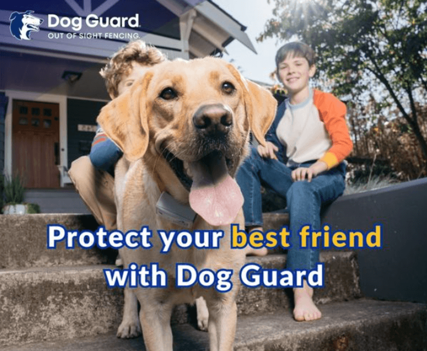 Dog Guard Pet Fencing