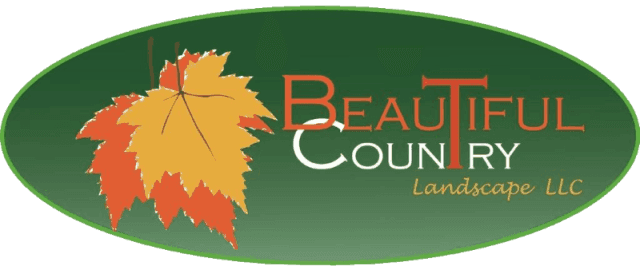 Beautiful  Country Tree Service